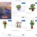 01 Promoções-Descontos-41822.jpg